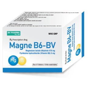 Magne B6-BV