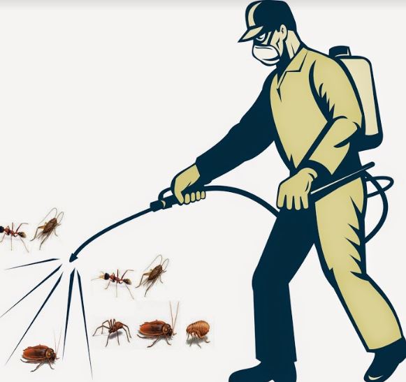 Dịch vụ diệt côn trùng PESTMASTER uy tín và hiệu quả