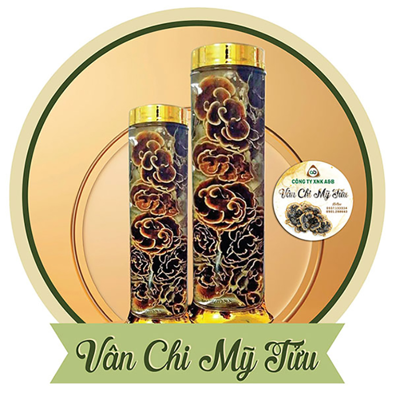 Địa chỉ nào cung cấp nấm vân chi chất lượng?