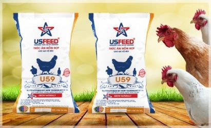 Duong Vinh Hoa – a prestigious animal feed woven bag supplier